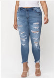 Cello High Rise Ankle Jeans Plus