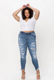 Cello High Rise Ankle Jeans Plus