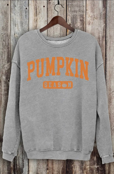 Gray Pumpkin Season Mineral Sweatshirt